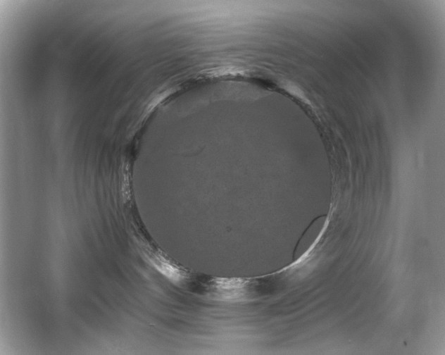 X0000065980144200603031204