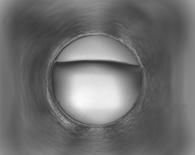 X0000065980145200603031203