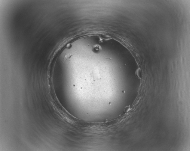 X0000065980146200603031203