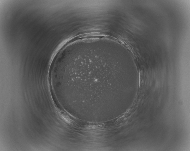 X0000065980147200603031203