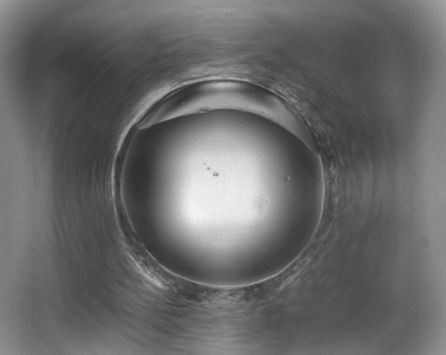 X0000065980148200603031203