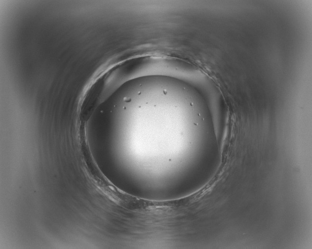 X0000065980150200603031204