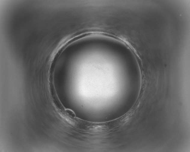 X0000065980151200603031204