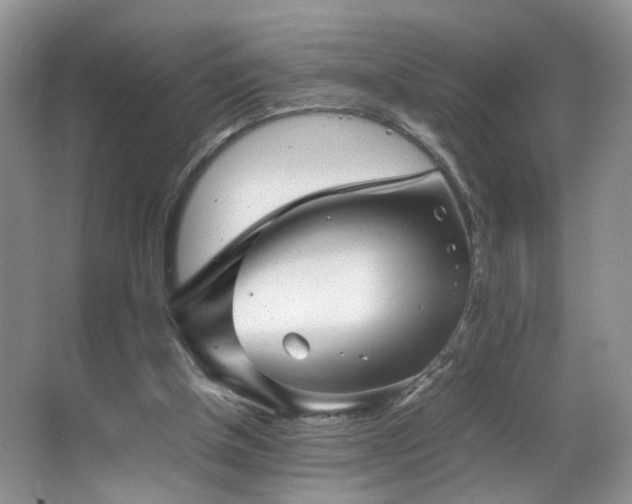 X0000065980154200603031204