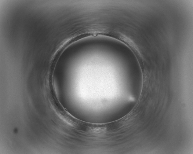 X0000065980155200603031204