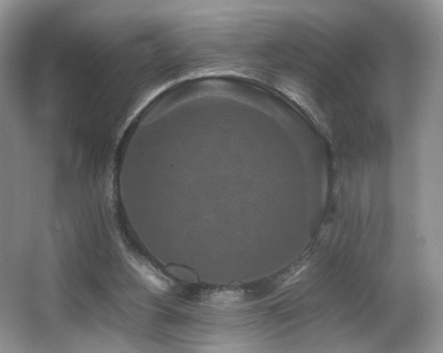 X0000065980156200603031204