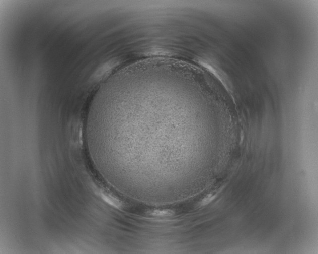 X0000065980157200603031204