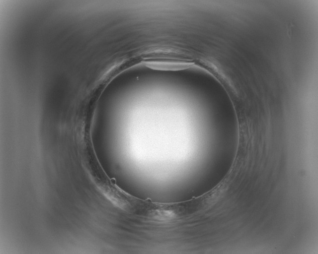 X0000065980159200603031204