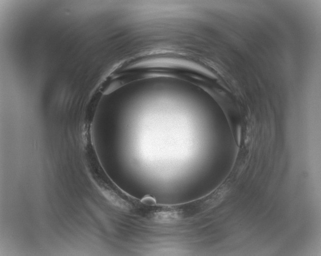 X0000065980160200603031204