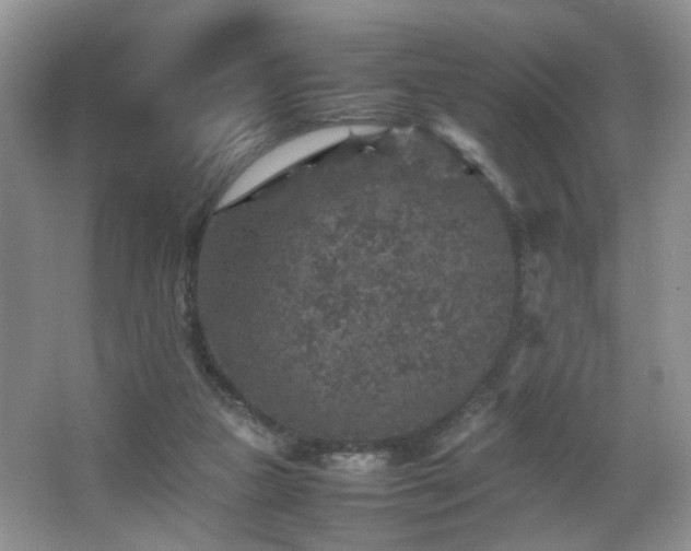 X0000065980161200603031204