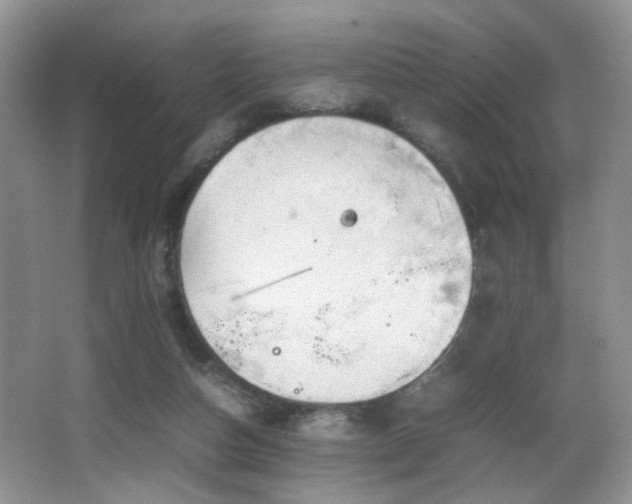 X0000065980162200603031204