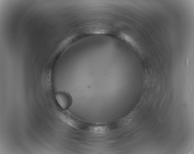 X0000065980163200603031204