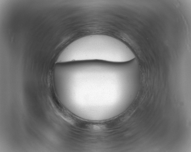 X0000065980165200603031204