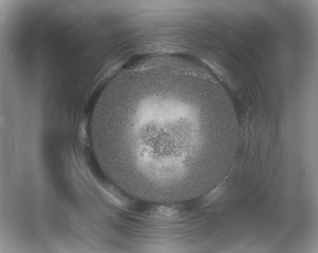 X0000065980166200603031204