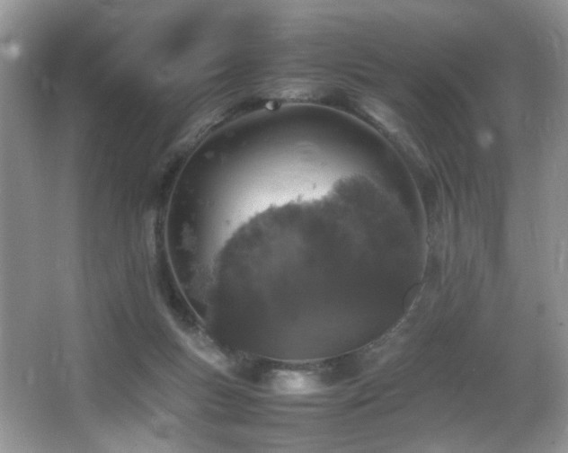 X0000065980167200603031204