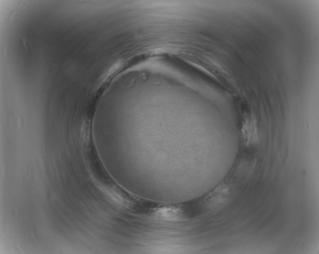 X0000065980168200603031204