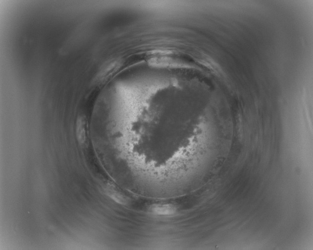 X0000065980169200603031204