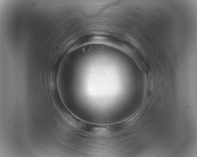 X0000065980170200603031204