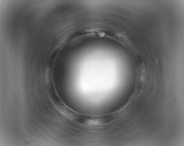 X0000065980171200603031204