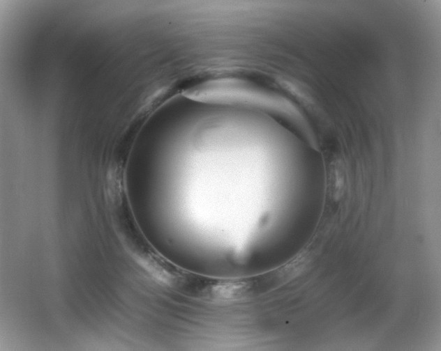 X0000065980172200603031204