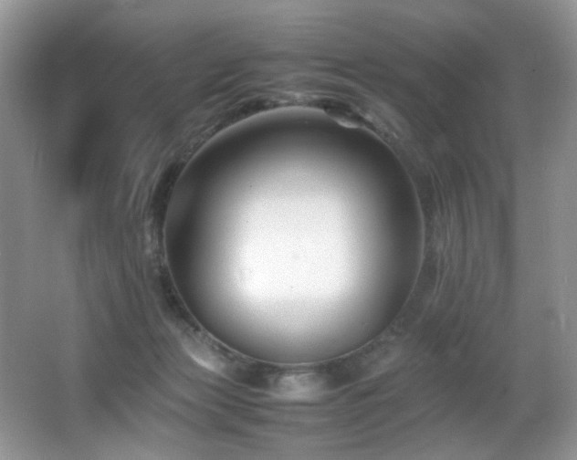 X0000065980173200603031204