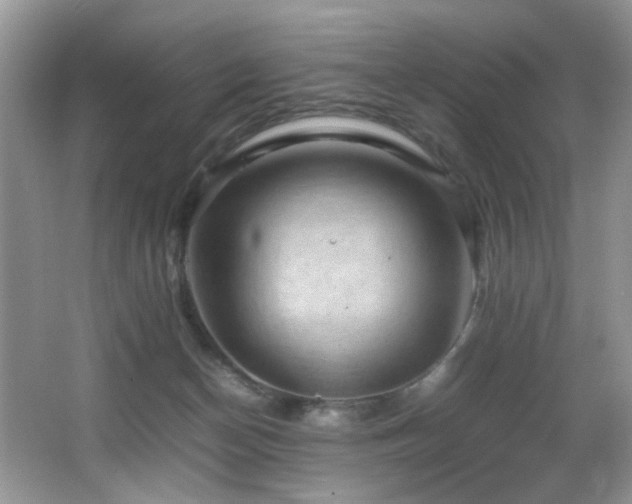 X0000065980174200603031204