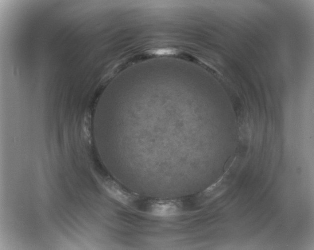 X0000065980175200603031204