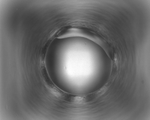 X0000065980176200603031204