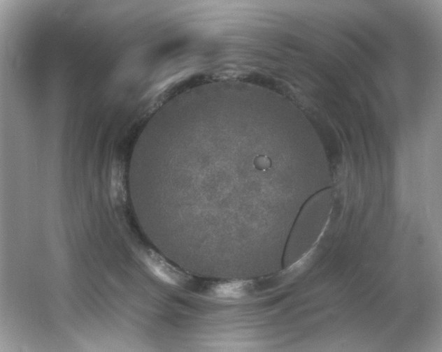 X0000065980178200603031204