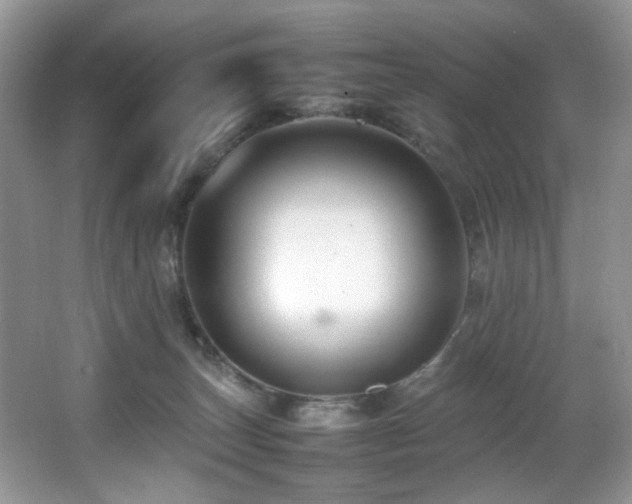 X0000065980179200603031204