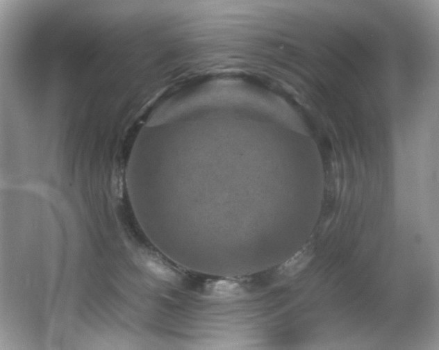 X0000065980180200603031204