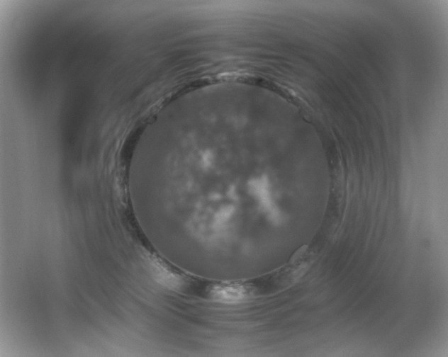 X0000065980181200603031204