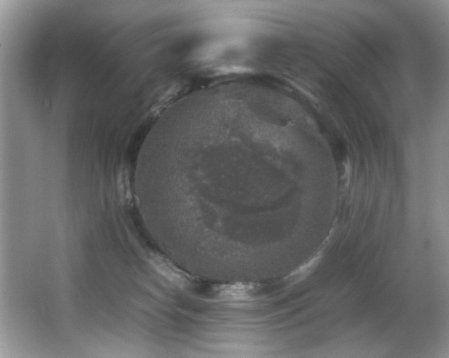 X0000065980182200603031204