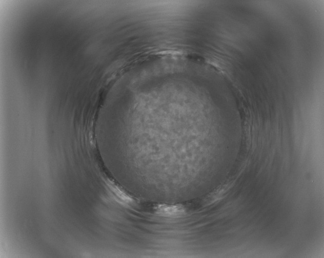 X0000065980185200603031204