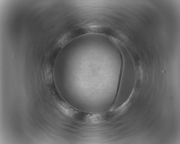 X0000065980186200603031204