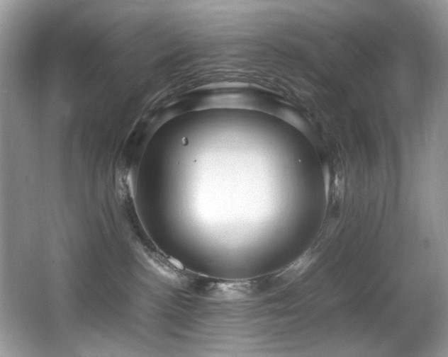 X0000065980188200603031204