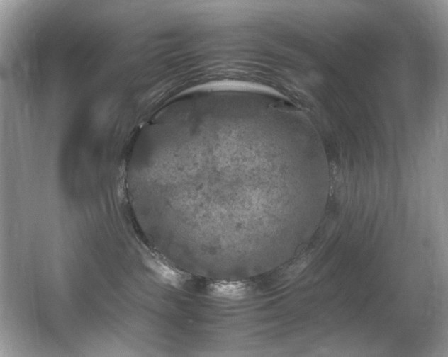 X0000065980189200603031204