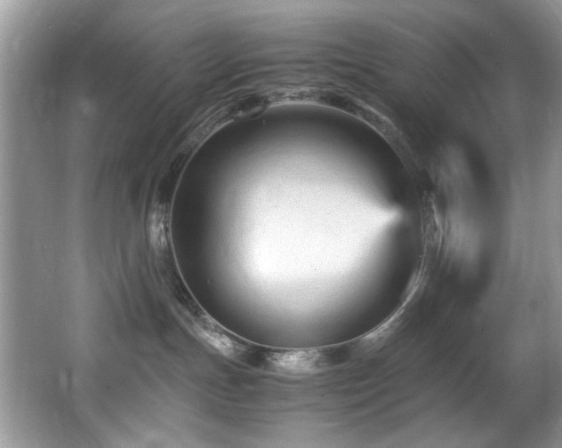 X0000065980191200603031204