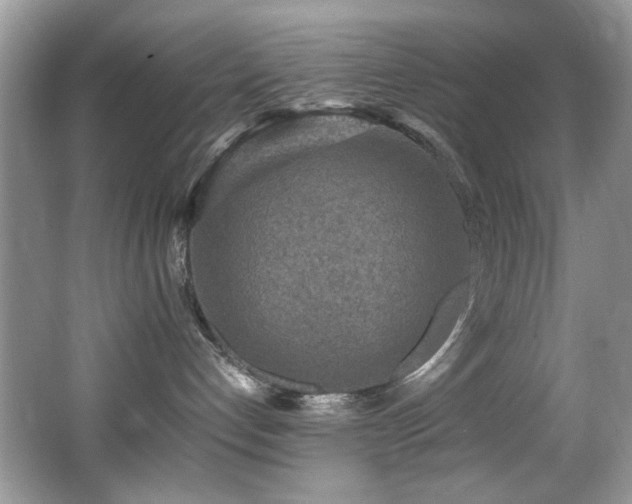 X0000065980192200603031204