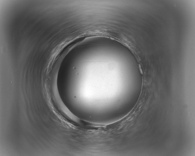 X0000065980193200603031203