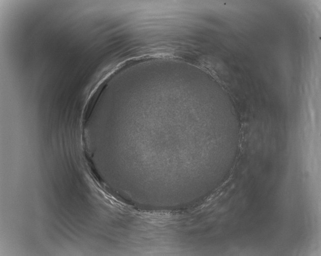 X0000065980194200603031203