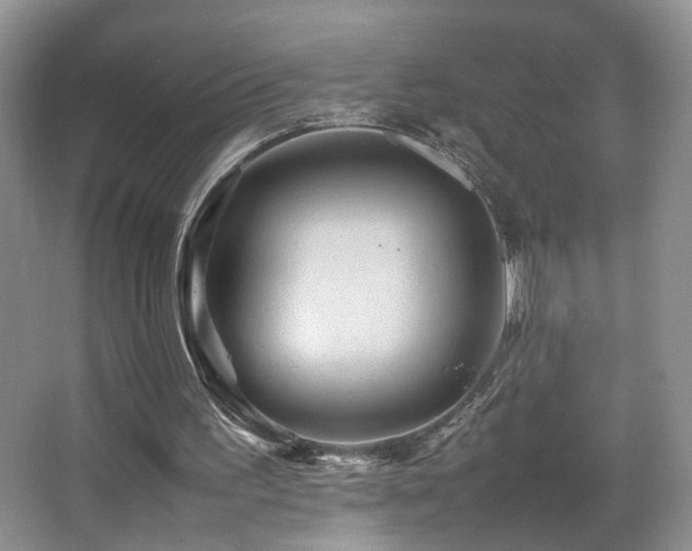 X0000065980195200603031203