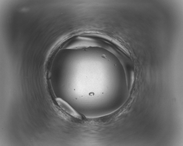 X0000065980197200603031203