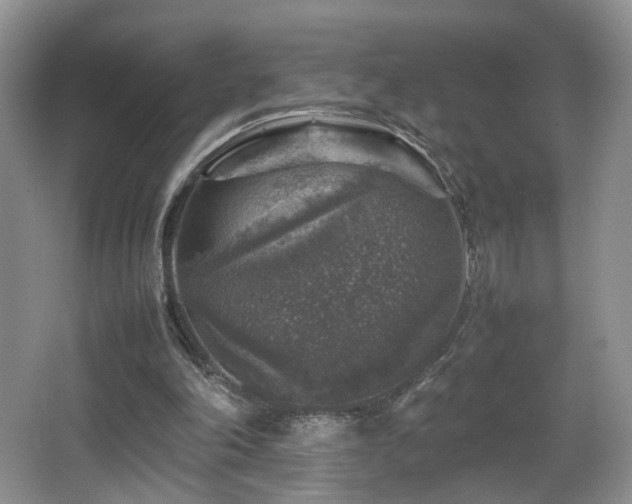 X0000065980198200603031203