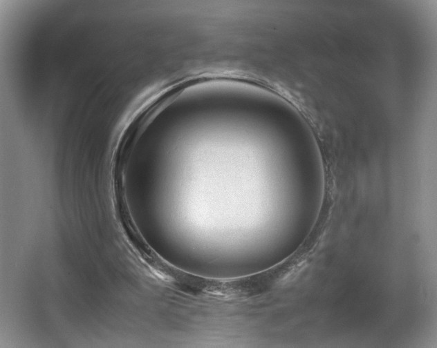 X0000065980199200603031203