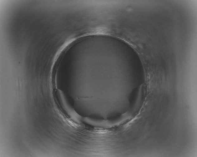 X0000065980200200603031203