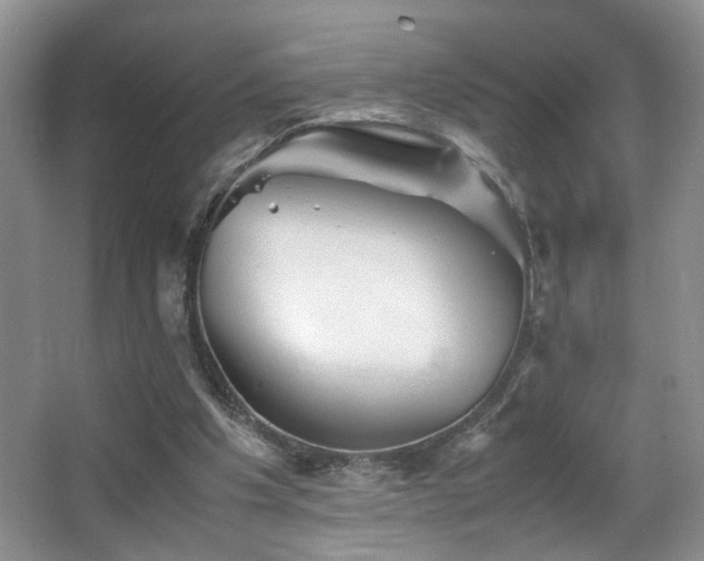 X0000065980201200603031203