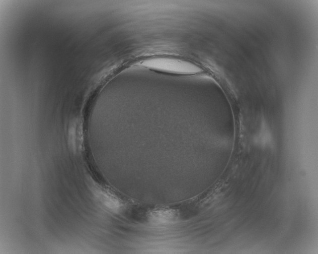 X0000065980202200603031203