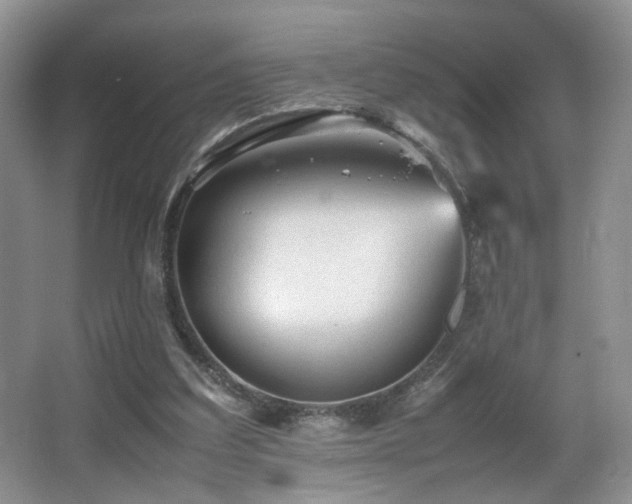 X0000065980203200603031203