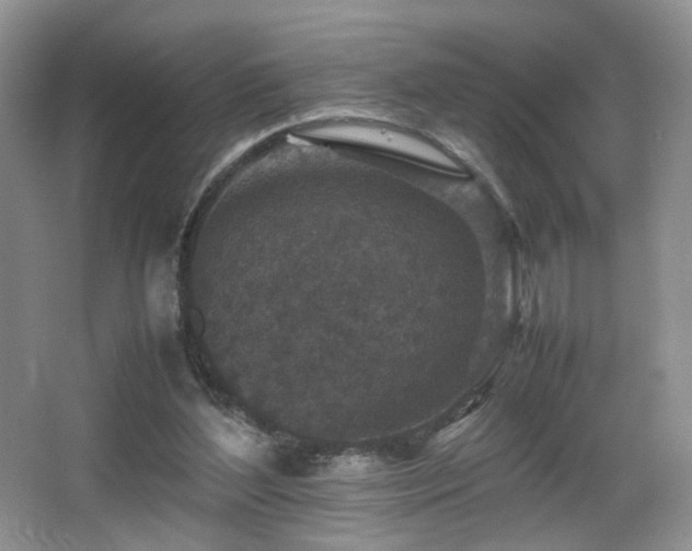 X0000065980204200603031203